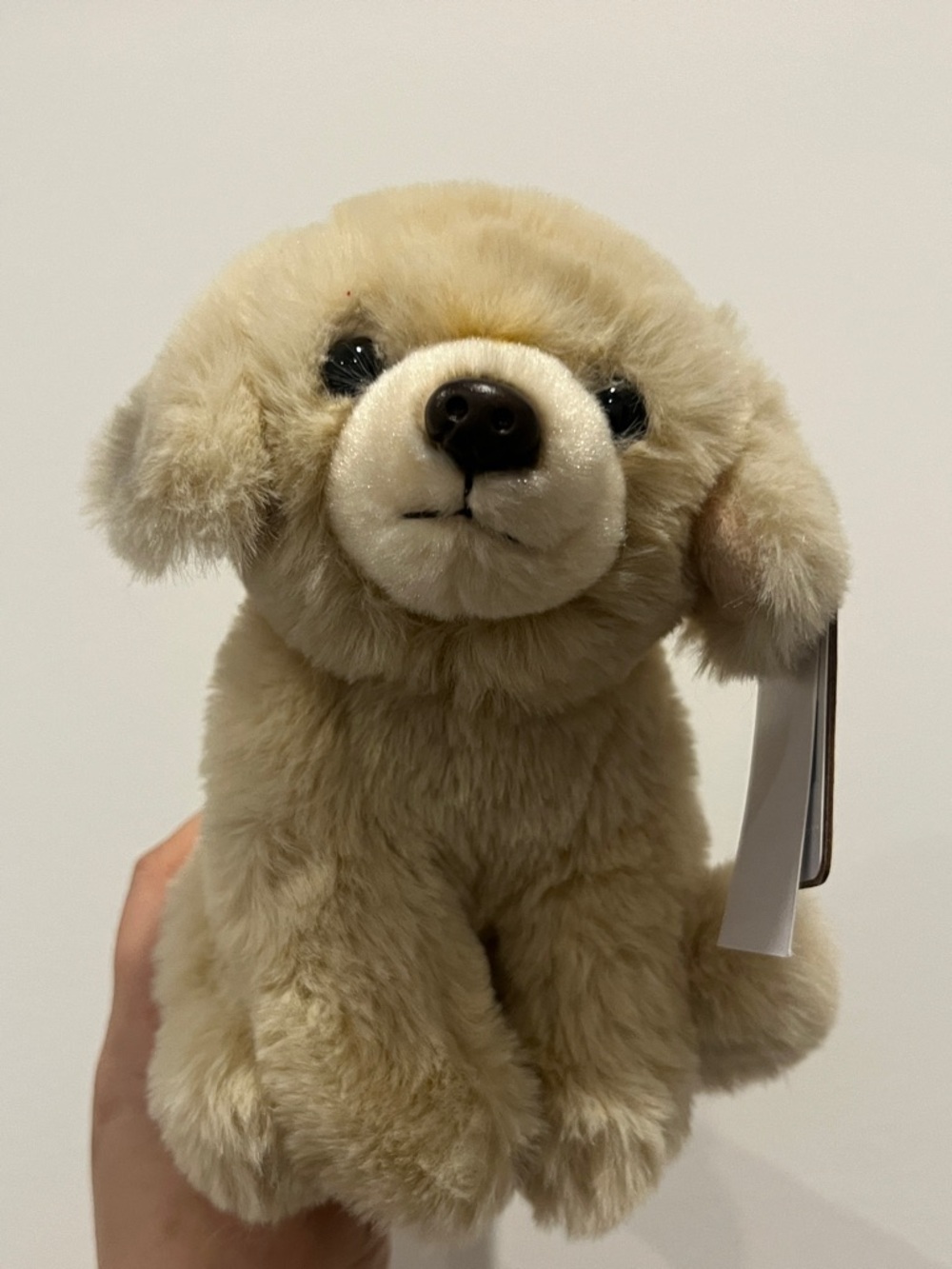 Anna Club Plush Toy Pet Collection! 
Soft Plush Puppy Stuffed Animal - Cute dog